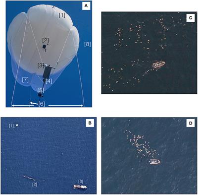 Surface Ocean Dispersion Observations From the Ship-Tethered Aerostat Remote Sensing System